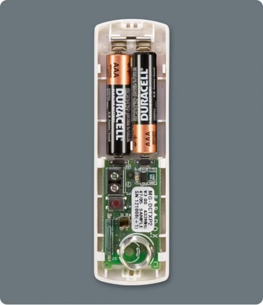 DCTXP2
