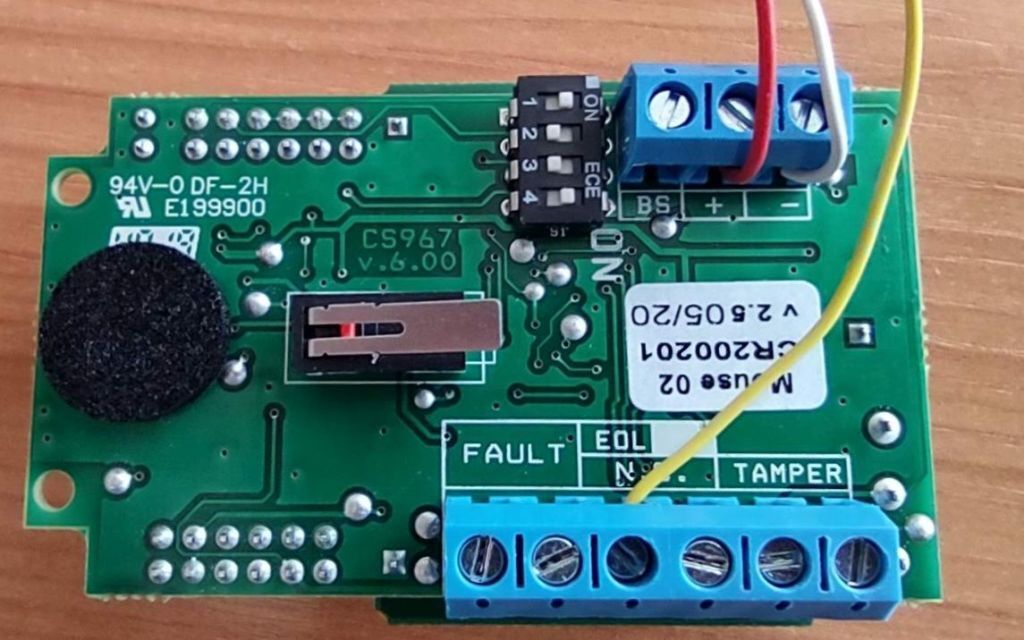 MOUSE 02/P
