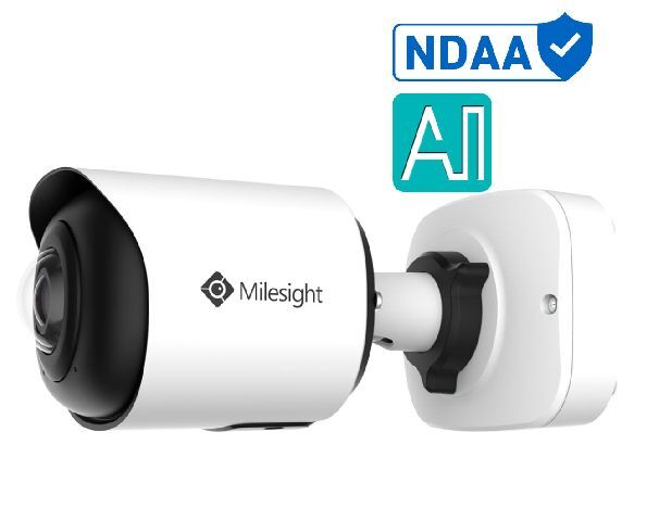 MS-C5365-PE AI NDAA 1.68mm 180° Panoramic IP 5MP/30fps