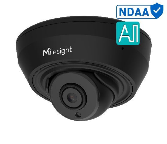 MS-C2983-PD/B NDAA AI 2.8mm 2MP/30fps DOME