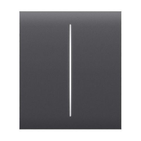 Ajax CenterButton (2-gang) graphite (46028) - Středové tlačítko (spínač řazení 5)