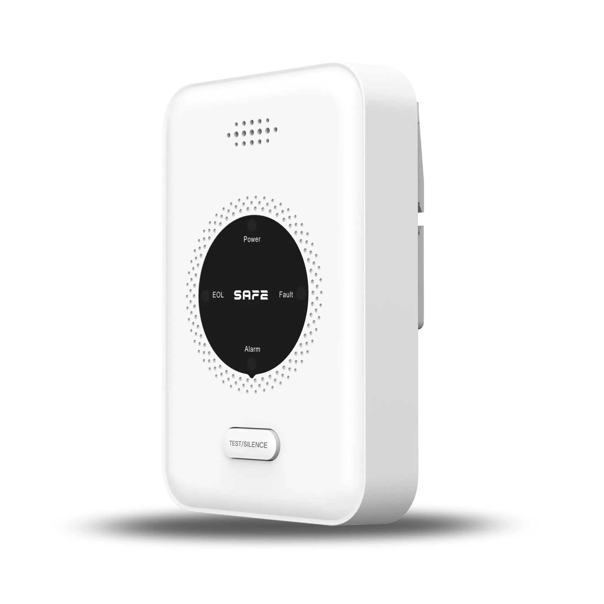 SAFE 5YGAS-RF Wireless gas detector