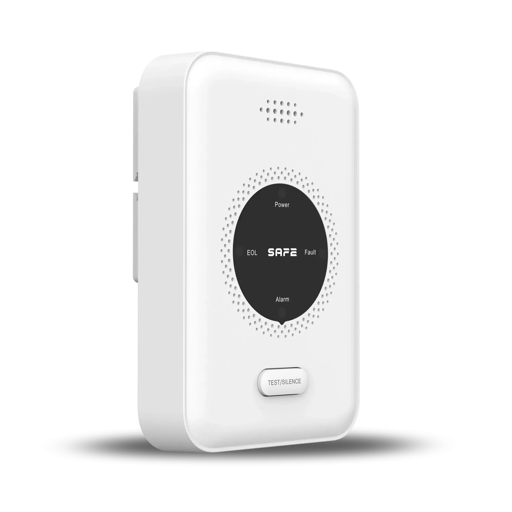 SAFE 5YGAS-RF Wireless gas detector